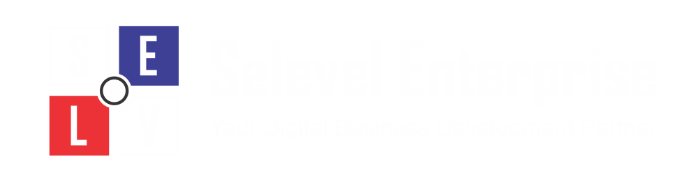 Logo Selevel Enterprise
